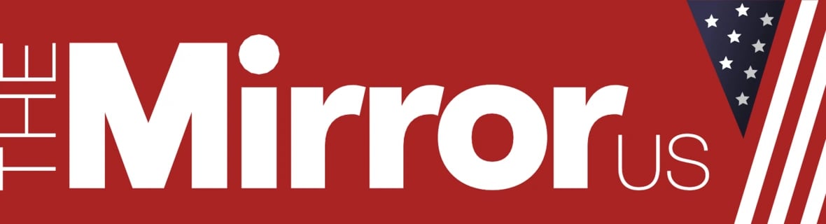 The Mirror Logo
